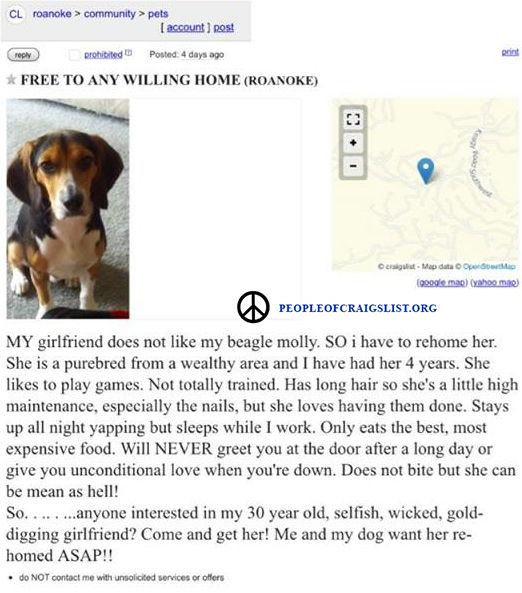 This Dog Needs a Good Home