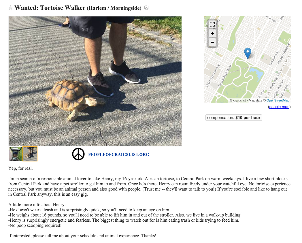 Craigslist Turtle Walker Wanted