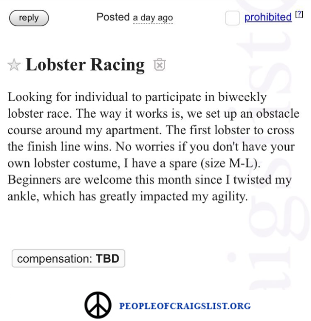 craigslist-lobster-racing