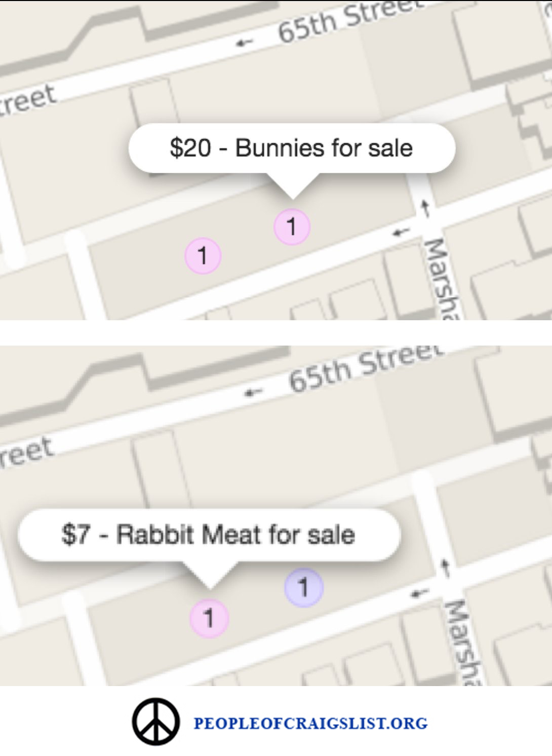 Bunnies for sale on craigslist