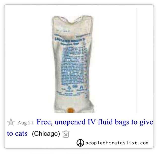 Free Craigslist IV fluid bags for cats