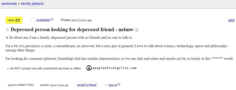 Most relatable craigslist personal ad out there